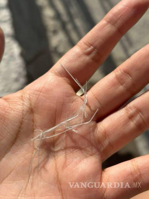 Vecinos reportan caída de residuos tras incendio en planta automotriz, en Ramos Arizpe (video)