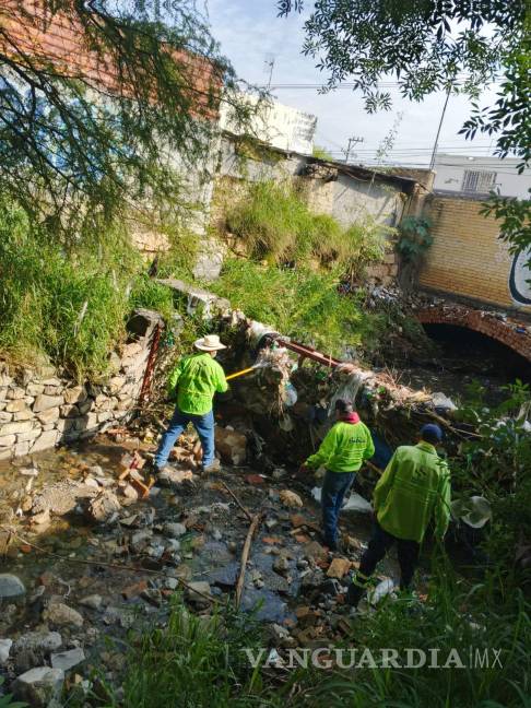 $!Brigadas municipales limpiaron el arroyo La Tórtola para permitir el flujo natural del agua y prevenir desbordamientos.