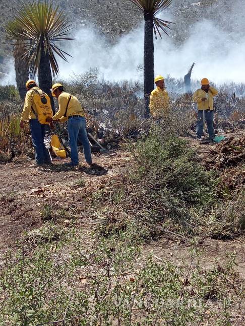 Al 80% liquidación en Nuevo León de incendio forestal iniciado en SLP