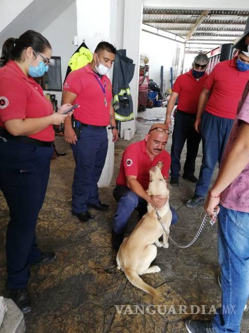 Bomberos de Ramos Arizpe salvan a perro de morir ahogado con un hueso