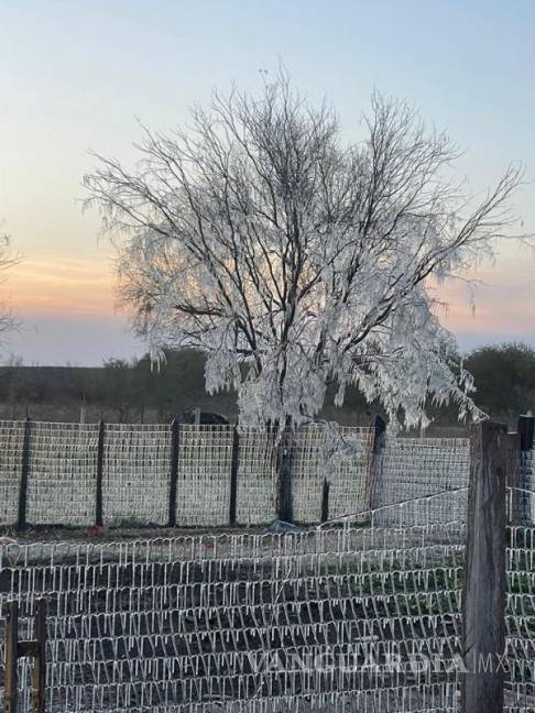 $!Imagen del día de ayer de la zona rural de Sabinas, Coahuila.