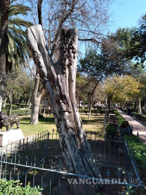 $!Tronco antiguo utilizado para la creación de las esculturas sobrevivientes.