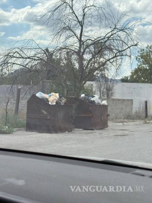 $!La presencia de animales entre los desechos preocupa a familias de varias colonias.