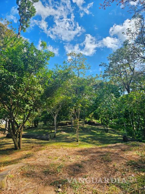 $!Parque Vázquez Dent (San José Costa Rica).