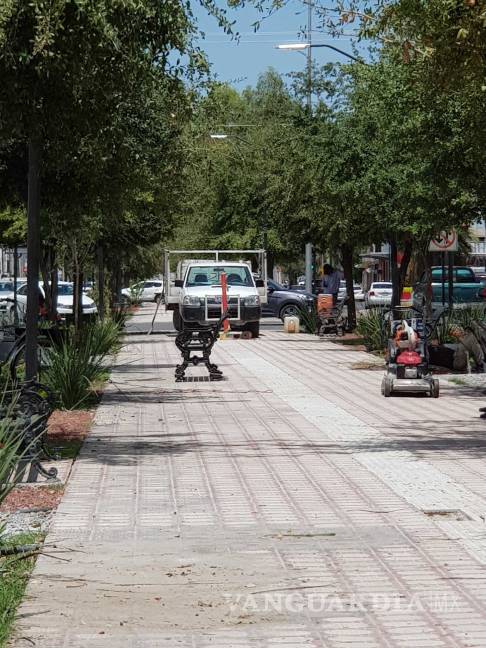 $!Continuarán trabajos de remodelación de la calzada Colón de Torreón