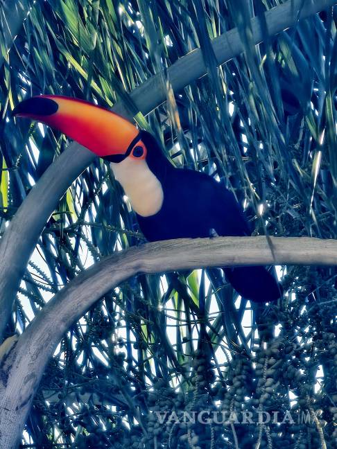 $!FOTO: MIGUEL CRESPO