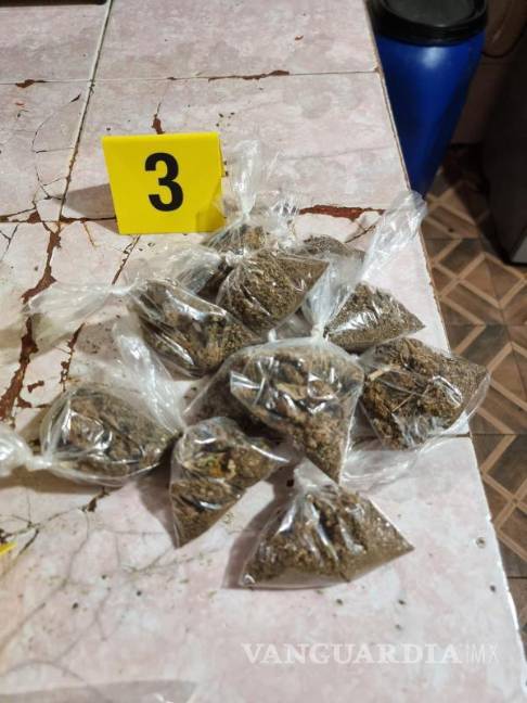 $!En la casa cateada se encontraron diversas dosis de una hierba verde y seca con las características de la marihuana.