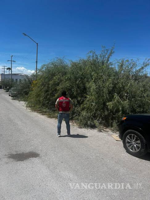 $!Atención Ciudadana intensifica acciones para atender denuncias vecinales sobre lotes baldíos.