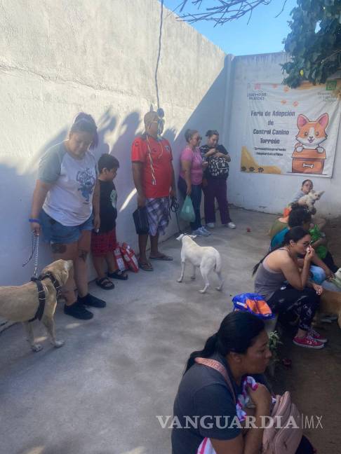 $!Personal veterinario atendió a 51 animales durante la jornada conmemorativa del Día Mundial de los Animales.