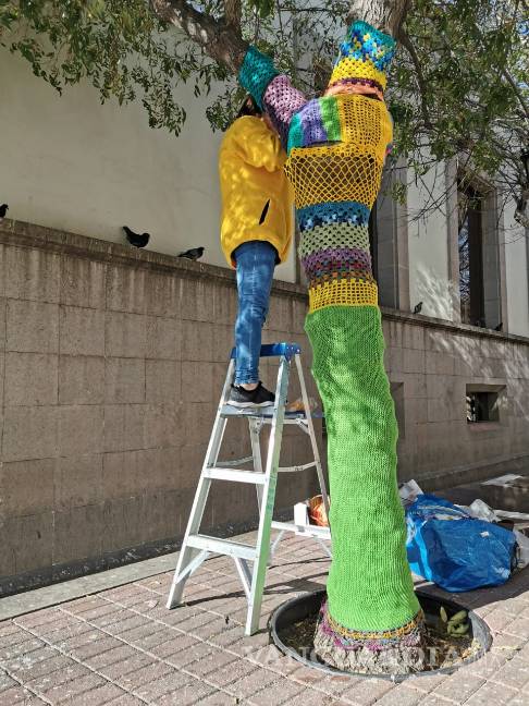 $!Tejedoras embellecen los árboles de la calle Ocampo de Saltillo, con una técnica de arte urbano llamada 'Yarn Bombing'