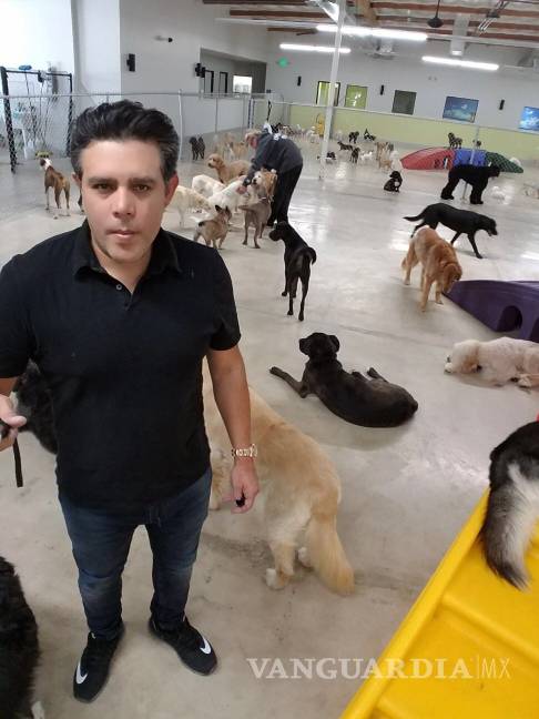 Propondrá activista se considere inocente a quien cometa homicidio por defender a un animal