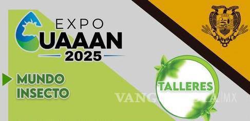 $!Niños podrán participan en el taller “Mundo insecto” y aprendrán sobre la importancia de los insectos en el ecosistema.