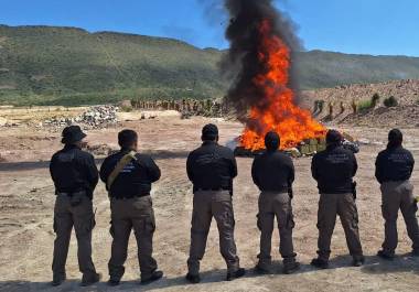 Los decomisos de drogas aumentaron ampliamente durante este 2025.