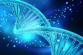 EE UU aplica la edición genética a embriones humanos por primera vez