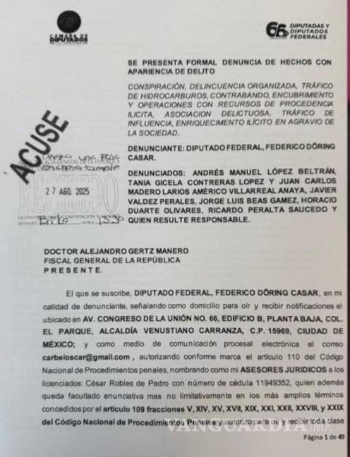 $!Presentan denuncia contra Andy López Beltrán y otros miembros de Morena, presuntamente vinculados a red criminal
