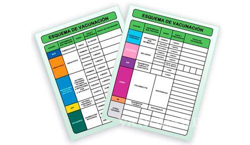 $!Vacunas por edad: cuáles debes tener en cada etapa y dónde descargar la cartilla