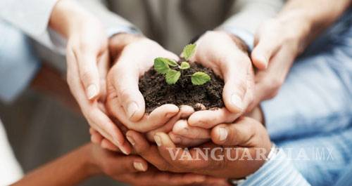 Desciende México en índice de desarrollo: ONU