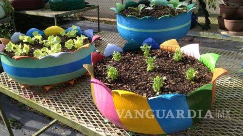 $!Regar, abonar, podar... ¡Cuida tu jardín en Verano!