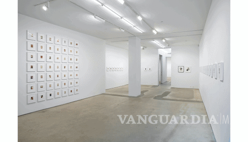 $!Galería Jack Shainman exhibe el tesoro fotográfico de Andy Warhol en Nueva York