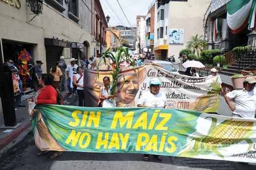 $!Surgen protestas en México por permitir a Monsanto uso de herbicida peligroso