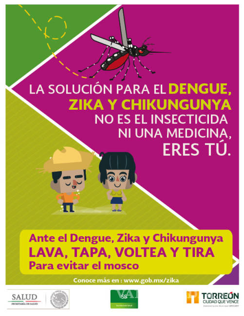 $!En el ejido La Unión de Torreón vecinos permanecen en alerta por dengue