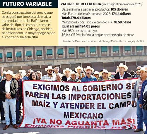 $!Pese acuerdos del Gobierno de Sheinbaum, mayoría de productores de maíz quedarían fuera