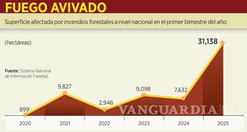 $!Cuadriplican daño incendios forestales en primer bimestre de 2025