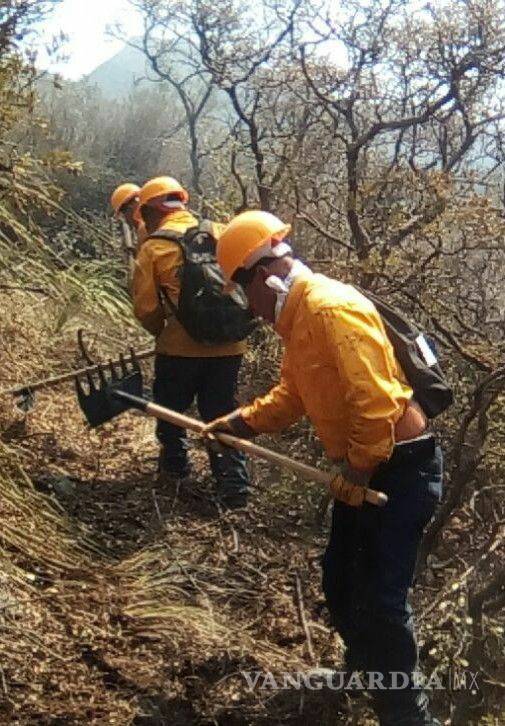 $!Así quedó la Sierra de Zapalinamé tras devastador incendio