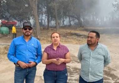 El 19 de abril, la alcaldesa de Arteaga, Ana Karen Sánchez, dio a conocer que fue detenido el presunto responsable de provocar el incendio en Huachichil.