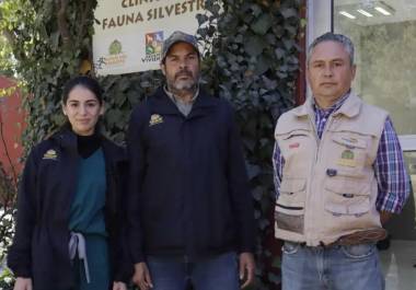 Especialistas del museo buscan concretar el proyecto durante el año en curso.