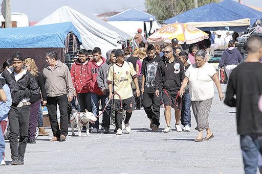 $!Elecciones Coahuila 2021 | Pandillas en Saltillo ya no son un foco rojo: Comisario de Seguridad