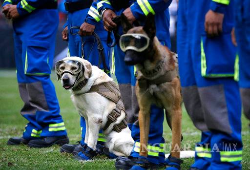 Perrita Frida presente en el juego de la NFL en México