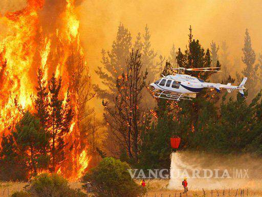 $!El cambio climático y la existencia de grandes plantaciones forestales son factores que han acrecentado la incidencia de megaincendios en Chile.
