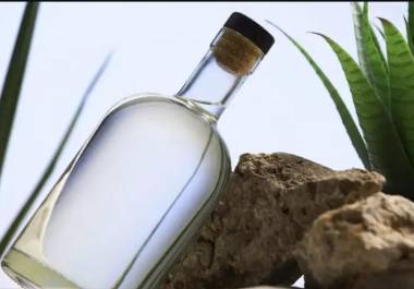 Coahuila produce actualmente entre 25 mil y 30 mil litros anuales, aunque tiene capacidad para llegar a 100 mil litros.