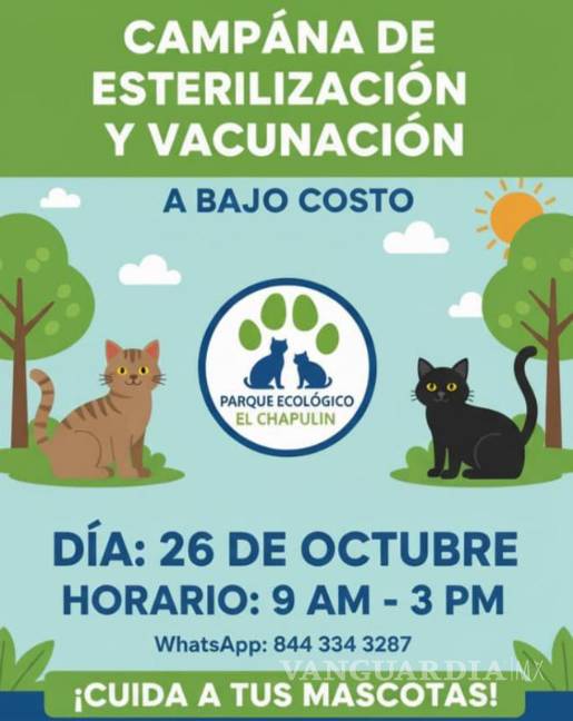$!Charlas informativas y conferencias buscarán crear conciencia sobre la tenencia responsable y el respeto hacia los gatos.