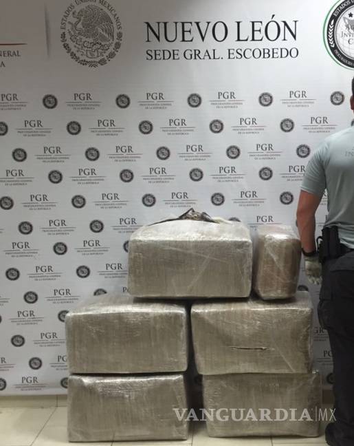 $!PGR incauta 80 kilos de mariguana en Nuevo León