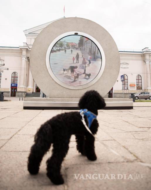 $!'pOrtal' en Vilna, Lituania donde aparece un perro que ve a otros canes en la ciudad de Polonia. EFE/Benediktas Gylys Foundation/Vilnius Gediminas Technical University