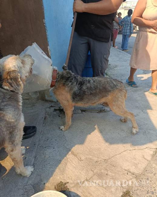 ¡Otra ola de incendios! Registra Nuevo León 122 catástrofes en 24 horas