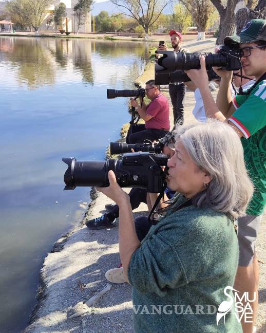 $!Integrantes del Club de Observadores de Aves de Saltillo del Museo de las Aves de México realizaron el registro del avistamiento.