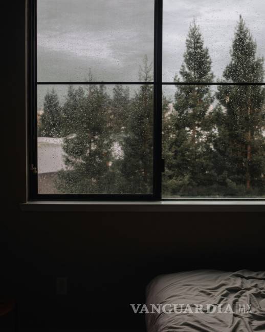 $!Blanco, rojo o negro... ¿Qué color de impermeabilizante es mejor según el clima y las necesidades del hogar?