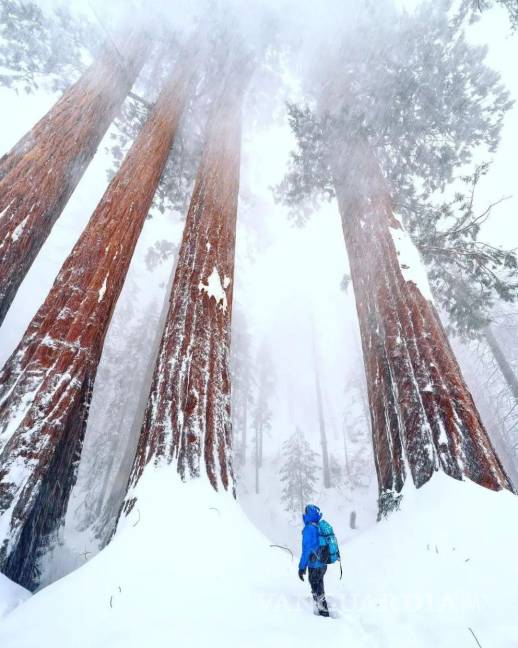 $!Panorama invernal captado desde el Parque Nacional de las Secuoyas, ubicado en la parte sur de Sierra Nevada, en California, Estados Unidos.