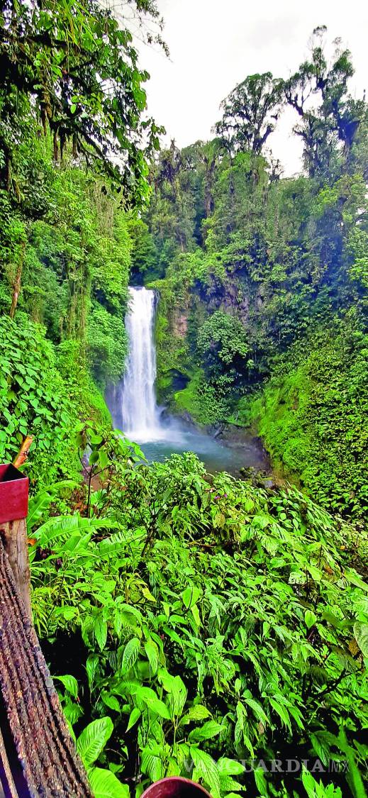 $!Una de las cinco cascadas en que podrás conocer en La Paz Waterfall Gardens Nature Park.