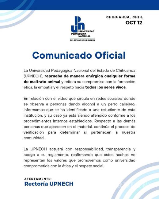 $!Chihuahua: Jóvenes dan alcohol a una perrita callejera; Universidad identifica a alumna (VIDEO)