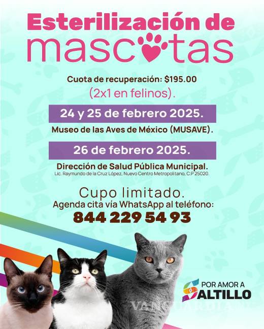 $!¡Esteriliza a tu michi! Hay 2x1 en Saltillo