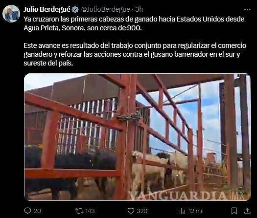 $!Julio Berdegué confirma en X la reapertura gradual de la exportación de ganado mexicano a Estados Unidos., destacando el trabajo conjunto para controlar el gusano barrenador.