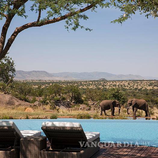 $!Las piscinas más increíbles donde no podrás evitar zambullirte
