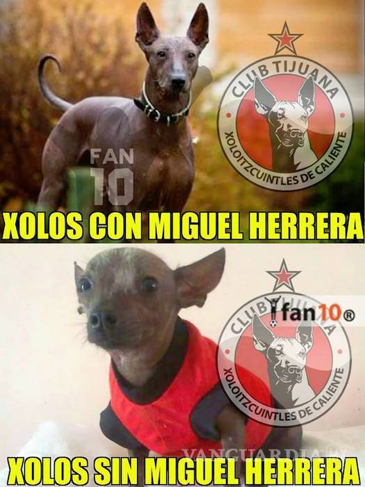 $!Los memes de la Jornada 4 de la Liga MX