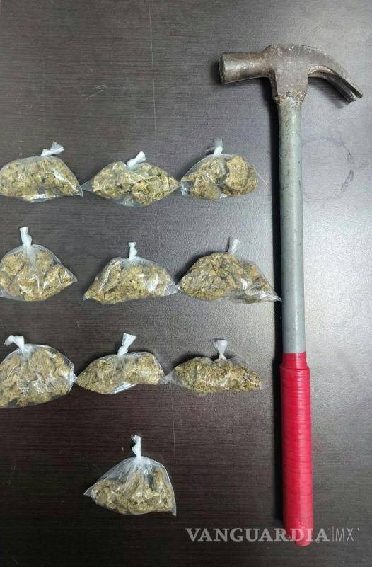 $!NL: Capturan con droga a colombiano acusado de agredir a un perro en la vía pública