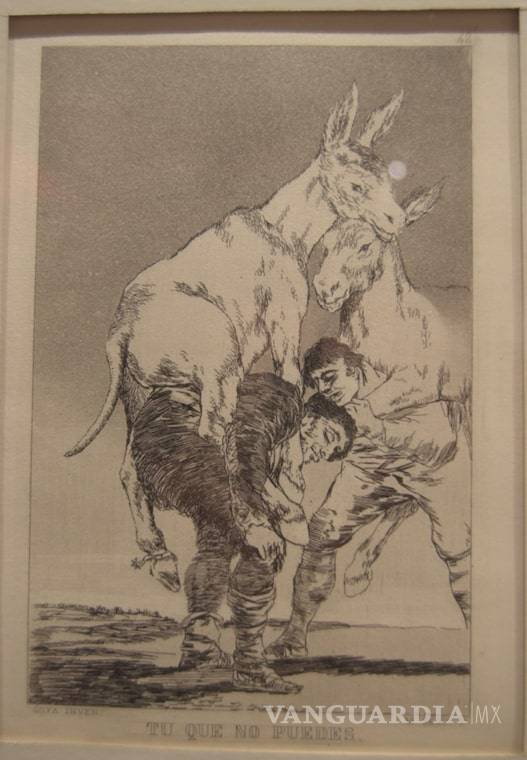 $!Goya dibuja Coahuila