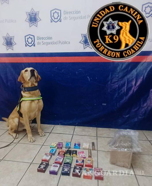 $!La marcación del can permitió ubicar dos cajas con droga y dispositivos para consumo de cannabis.